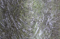 Bulwell Forest fibreglass roof work