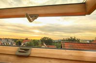 rated Bulwell Forest roof window companies